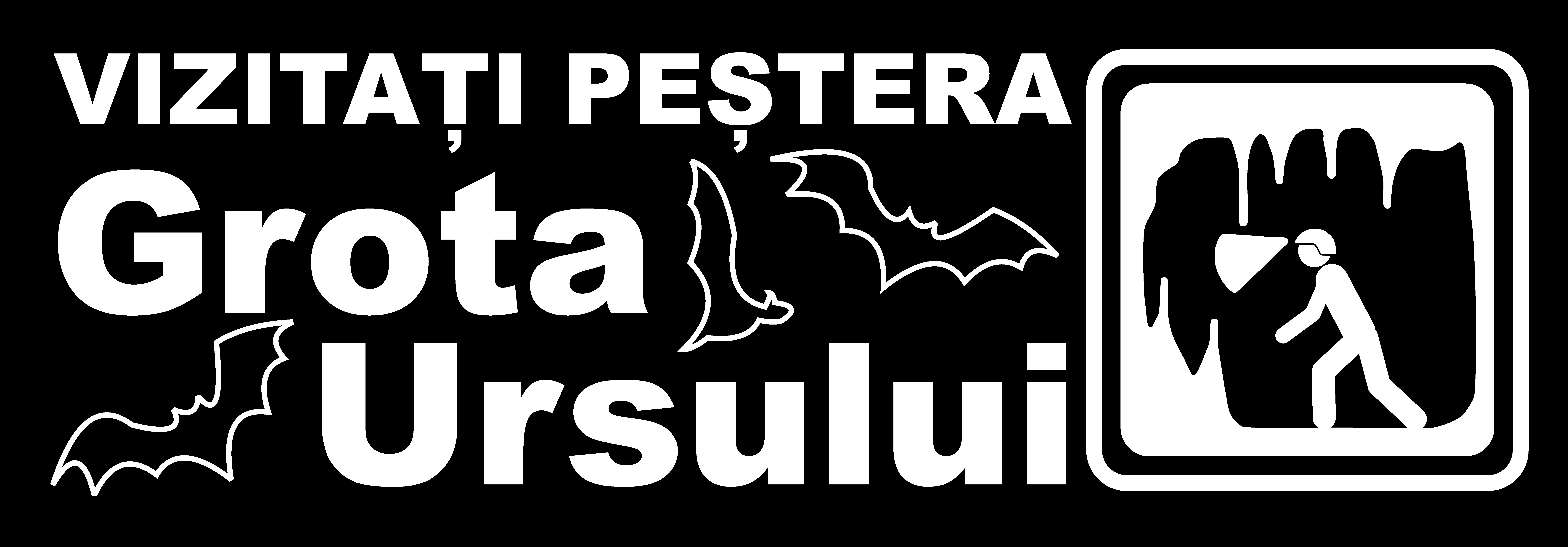 Grota Ursului